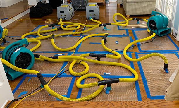 Professional Structural Drying And Dehumidification technician working in Laurens, IA